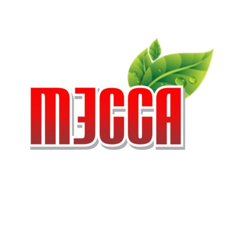 WhatsApp Image 2024-10-12 at 10.24.57 AM (2)